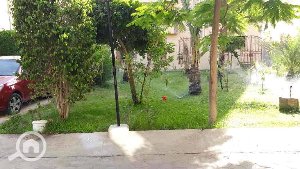 6 04553367-a41f-483f-92b2-753a6d04c132. jpg