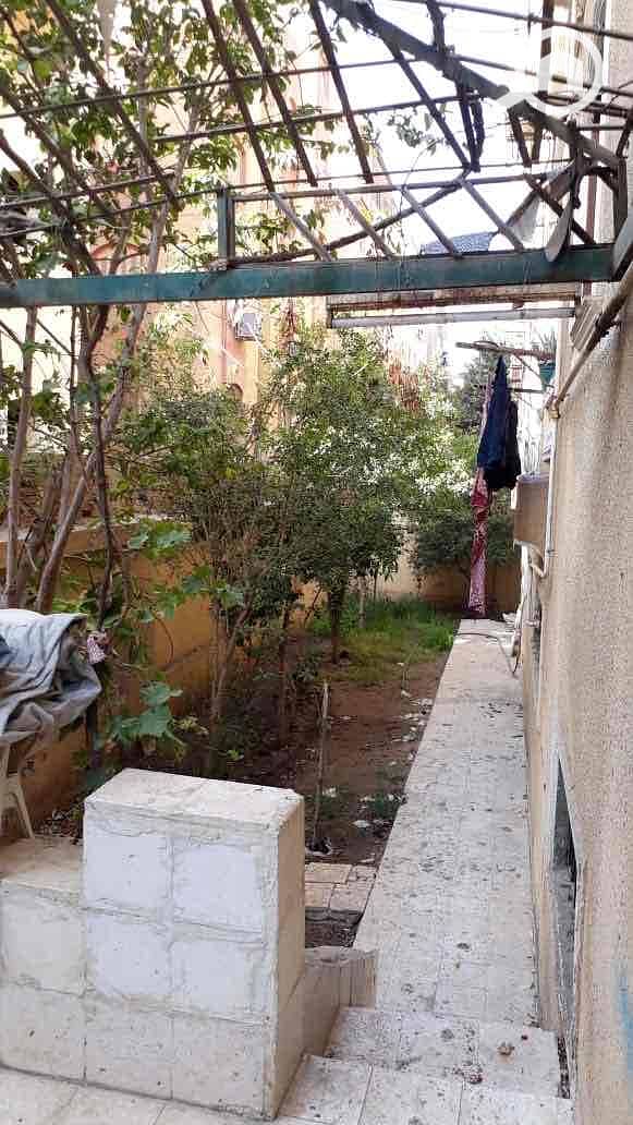 9 ce437677-d0af-4c0f-9bf8-a334f642b9c8. jpg