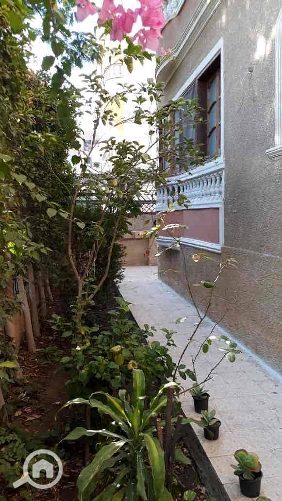 11 02ff8304-0419-46de-9707-0d37f63855a1. jpg