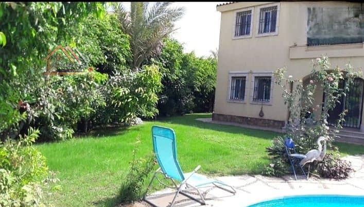 11 a04a9d7d-5017-4970-839a-0c4466ced312. jpg