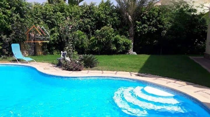 12 b4967d70-5fef-4f14-80a5-252d655e8496. jpg