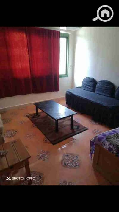 شقة 2 غرفة نوم للايجار في الهرم، الجيزة - IMG-20240924-WA0012. jpg شقة 2 غرفة نوم للايجار في الهرم، الجيزة - IMG-20240924-WA0012. jpg