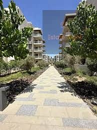 4 images (44) - Copy. jpg