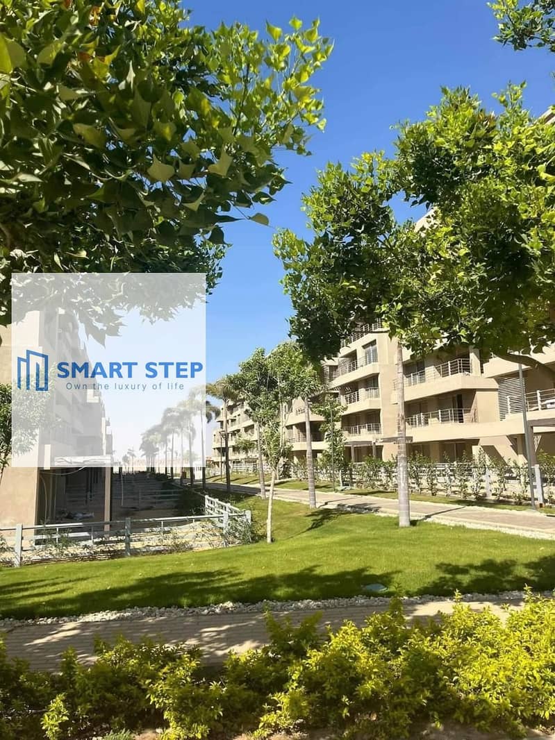 13 f5ae38ab-0d22-481b-aafa-4623b84427af. jpg