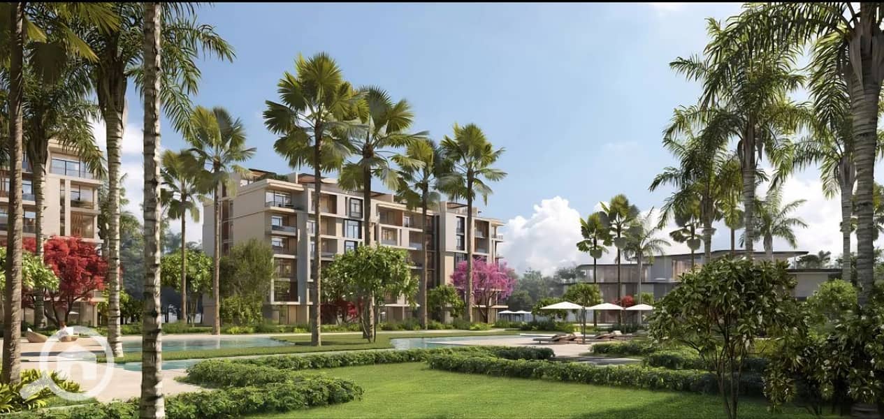 9 photo_11_2026-01-27_11-44-31. jpg