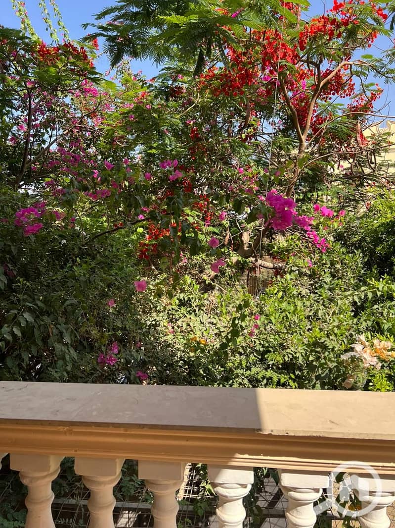 9 WhatsApp Image 2026-01-28 at 12.38. 42 AM. jpeg