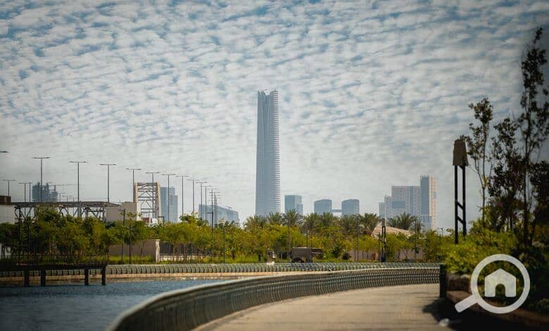 19 482c3e48-4908-4923-90e7-fce5488f4cf5-780x470. jpeg