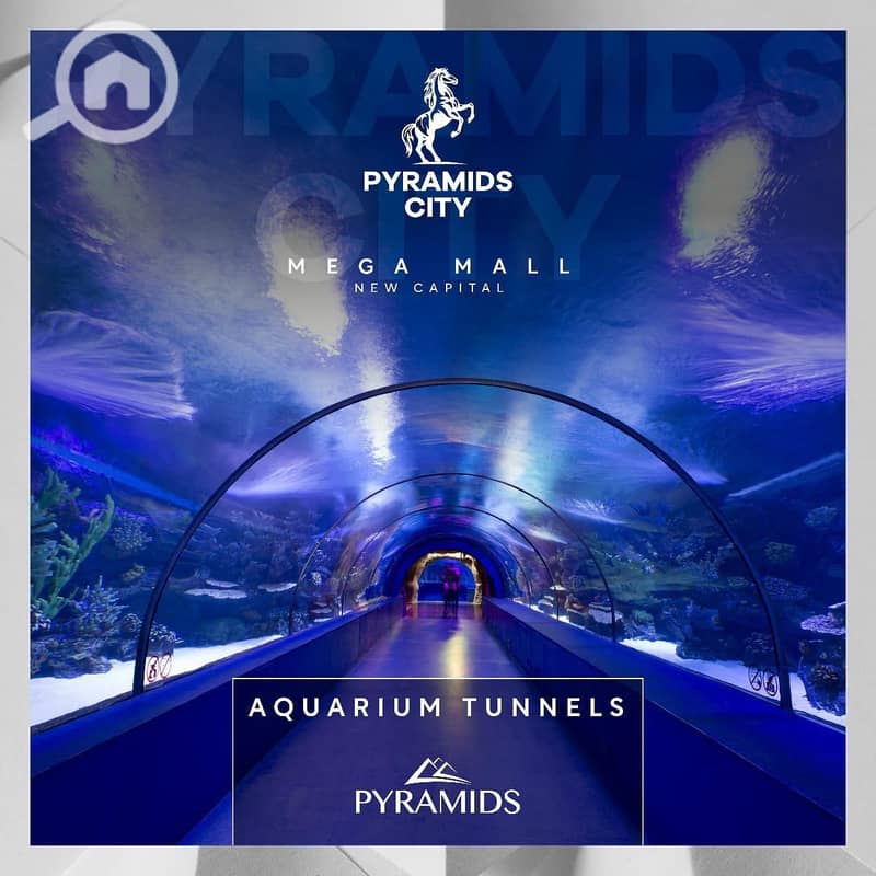 13 WhatsApp Image 2025-12-22 at 1.39. 57 PM 2. jpeg