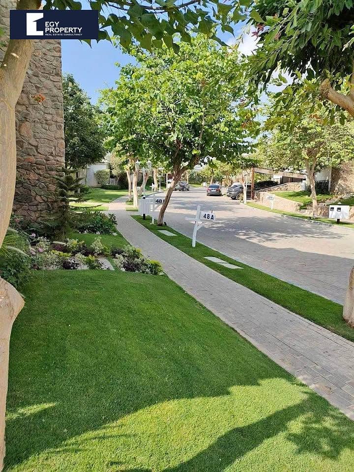 4 569206620_1155639933211239_1655522479495796578_n. jpg