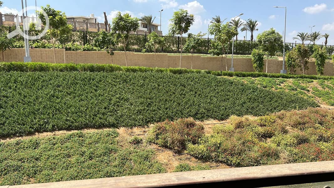 5 WhatsApp Image 2026-01-28 at 12.11. 14. jpeg