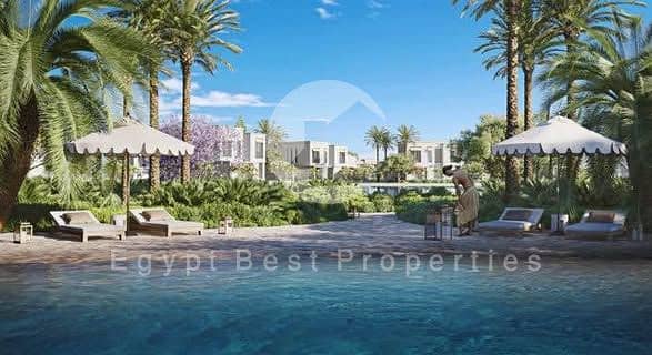 10 616451965_3578591855616682_5843428072730154865_n. jpg