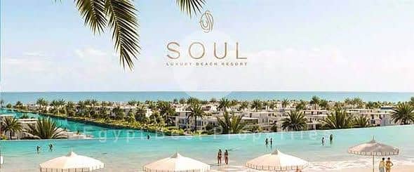 11 617848862_3578591858950015_7425501467586751449_n. jpg