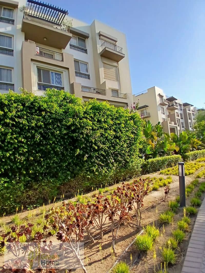 3 1b379f26-8df8-4a02-84d5-eaa15b7dcf2c. jpg