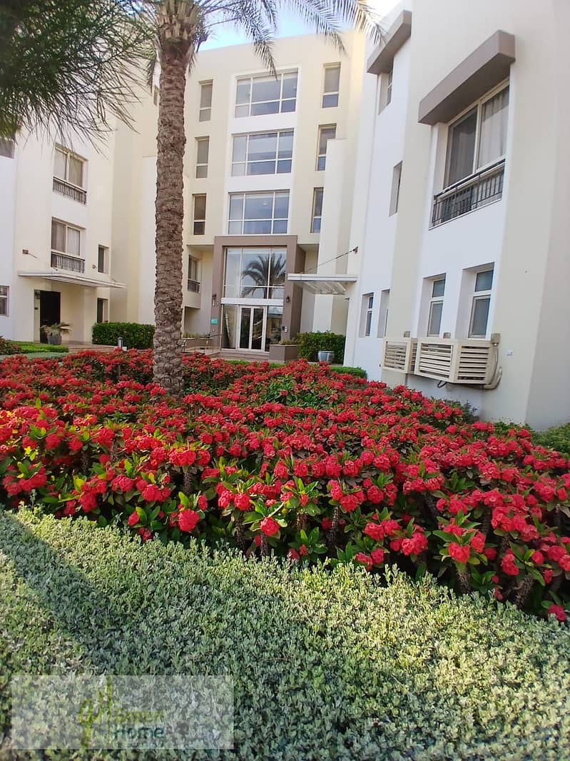 8 2a103254-bc74-46b1-8301-f38ec44b68c5. jpg