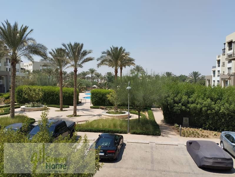 11 6d39707d-8d3f-4617-a22d-9243d5ca7a50. jpg