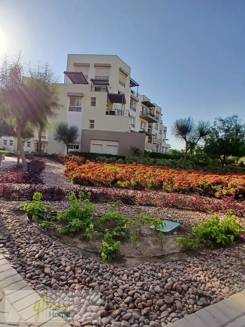 12 6fff84fd-5745-47a7-9e41-d92c25e255f9. jpg