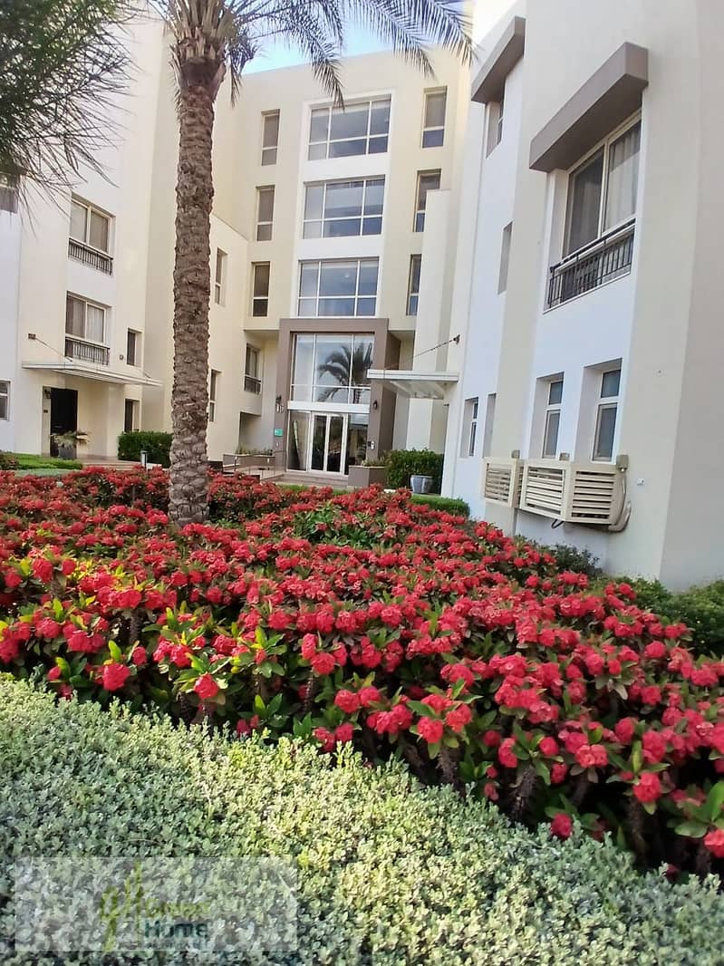 16 900e7614-3430-4597-ba52-f6365fd0893c. jpg