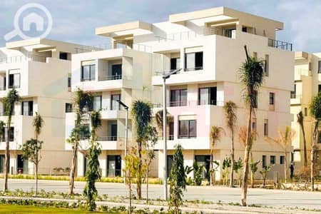 3 Bedroom Flat for Sale in Amreya, Alexandria - WhatsApp Image 2024-12-06 at 3.47. 21 AM. jpg