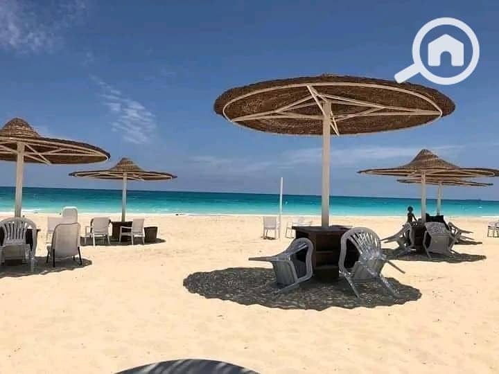 6 WhatsApp Image 2026-01-27 at 2.57. 37 PM (3). jpeg