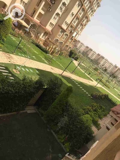 فلیٹ 3 غرف نوم للايجار في مدينتي، القاهرة - 1000132589. jpg