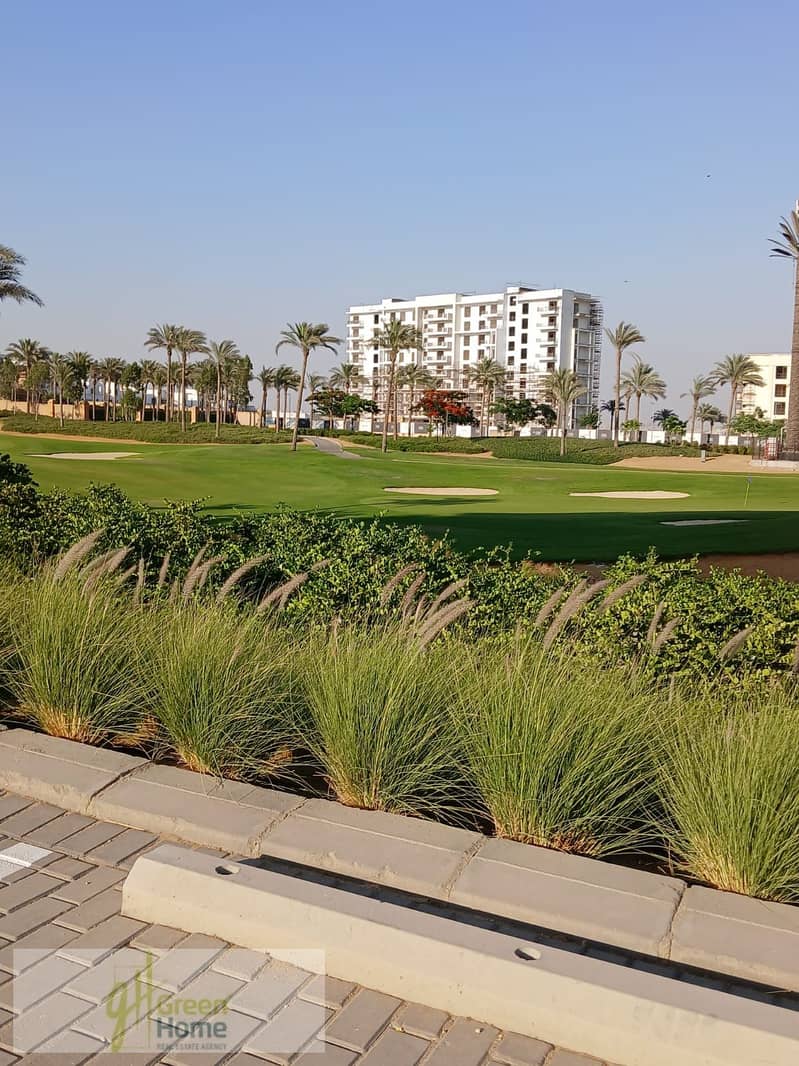 8 e8963ae8-e483-404c-86a2-44d3b577848f. jpg