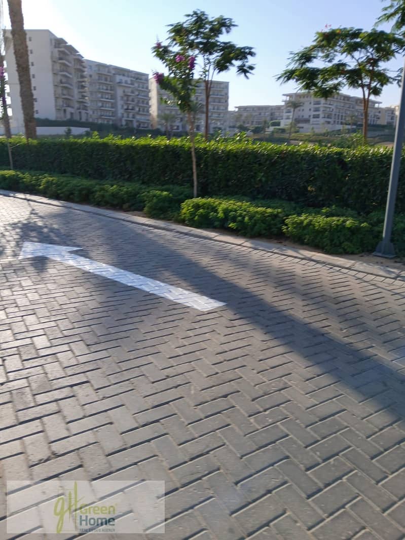 14 95794391-d4f3-40bf-8959-2d011d4ac1cd. jpg