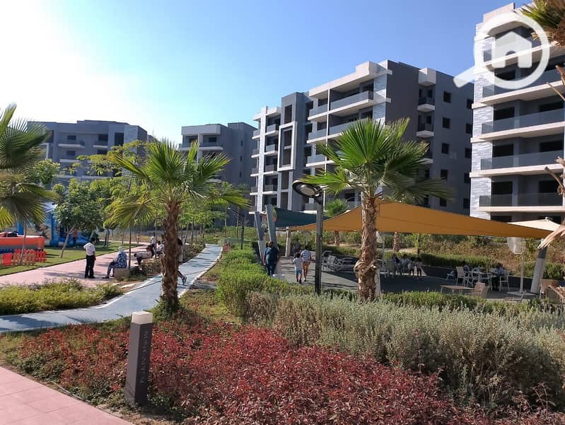 3 photo_12_2026-01-25_17-21-51. jpg