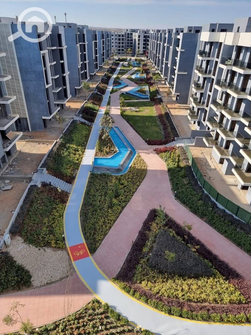 11 photo_36_2026-01-25_17-21-51. jpg