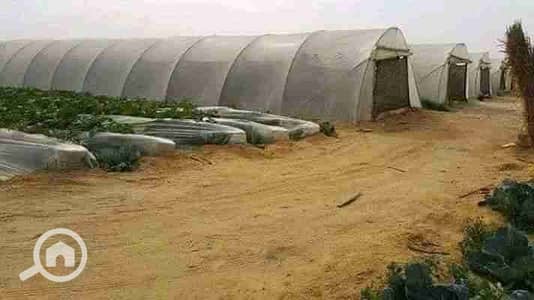 Residential Land for Sale in New Fayoum, Fayoum - 1000064607. jpg