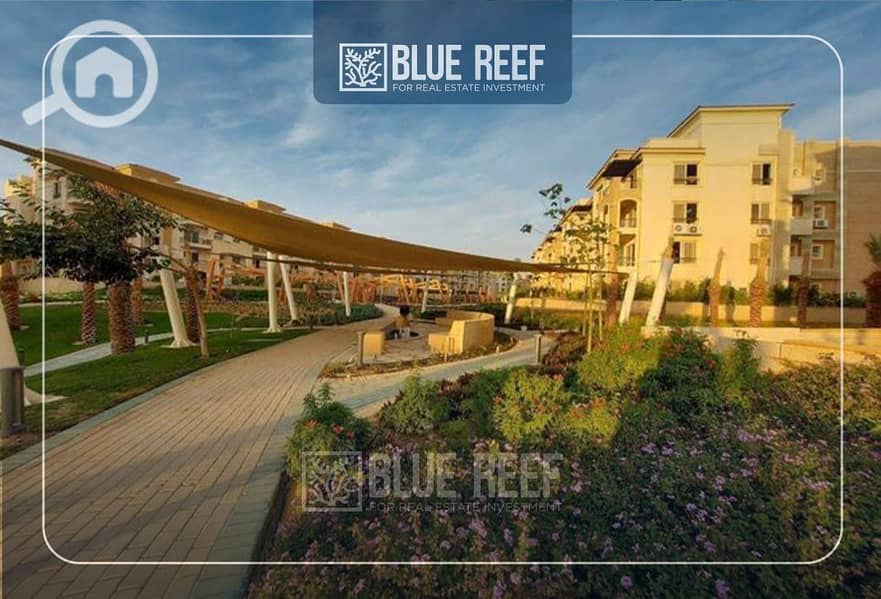 3 Bluereef  - Templete. psdsdfcv (1)yguhijok. jpg