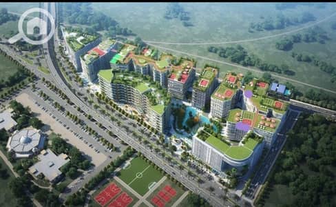 3 Bedroom Flat for Sale in Smoha, Alexandria - IMG-20250804-WA0039. jpg