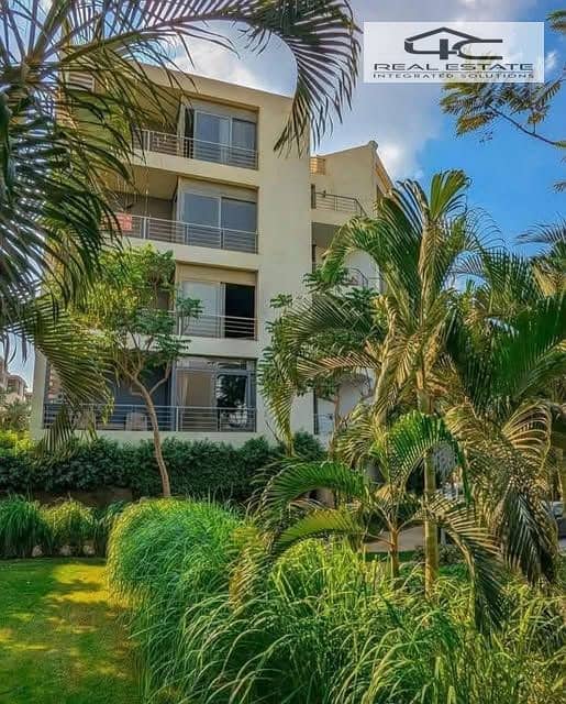 8 605155183_122229921980299595_4867924691989901720_n. jpg