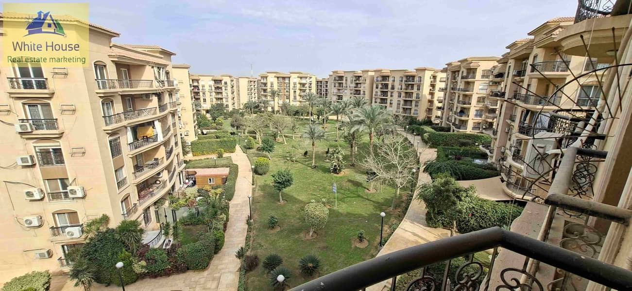 1000228242. jpg 1000228242. jpg