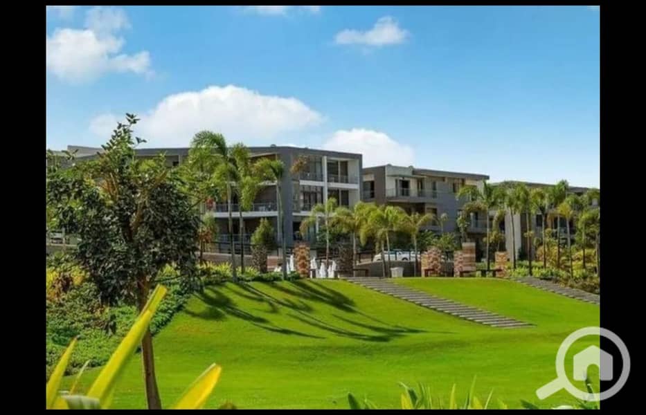 4 432444310_3576568299275490_220491523577706257_n. jpg