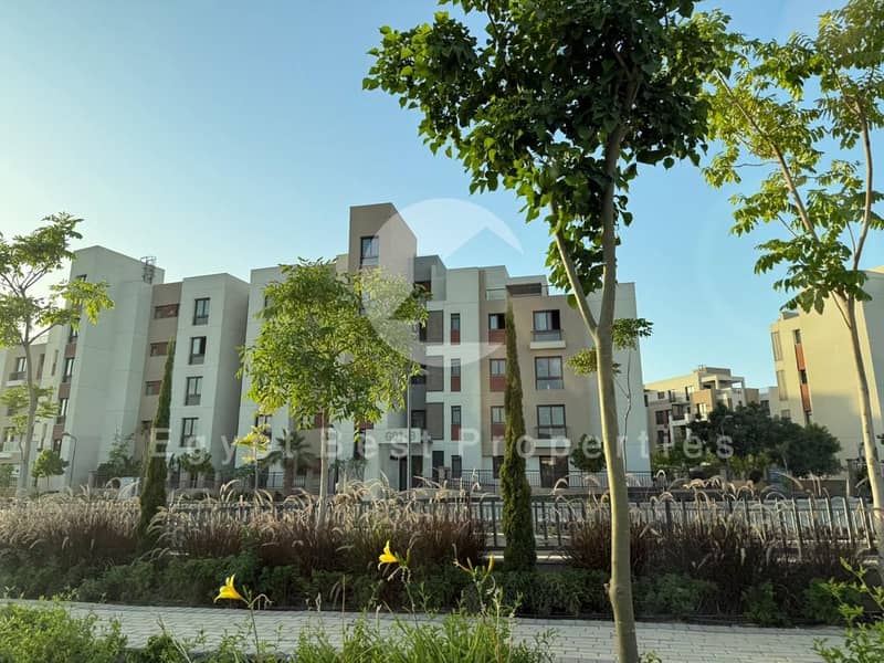 4 WhatsApp Image 2026-01-26 at 3.13. 08 PM (2). jpeg