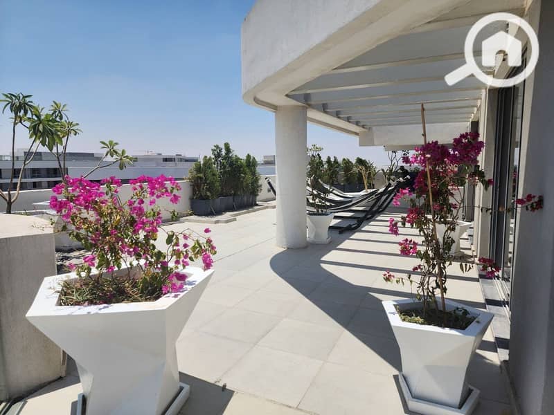 11 450646221_1121603105590532_7235906211109569130_n - Copy. jpg