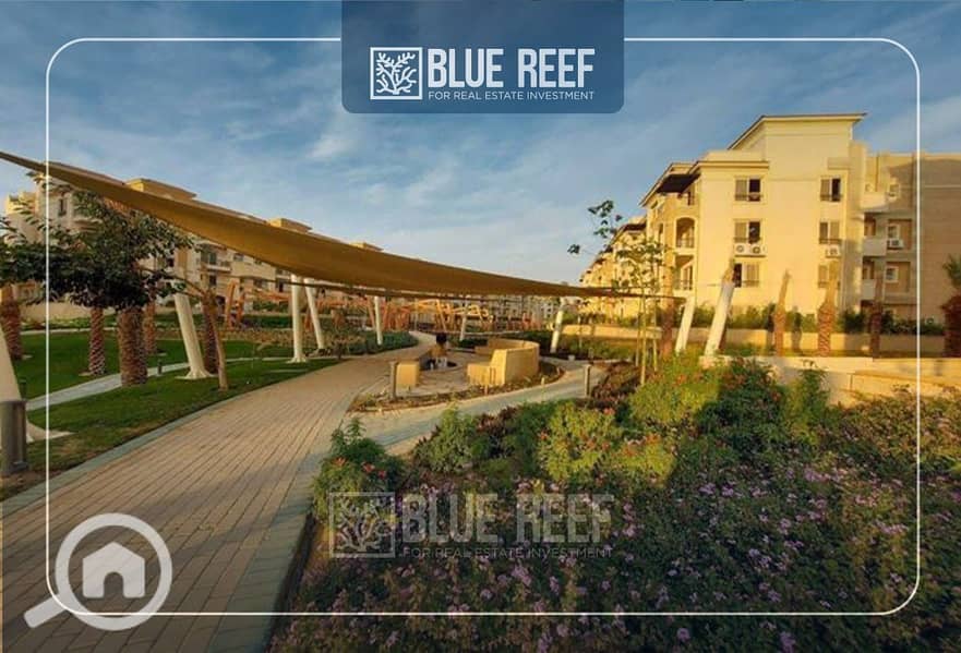 4 Bluereef - Templete. psdsdfcv (1)yguhijok. jpg