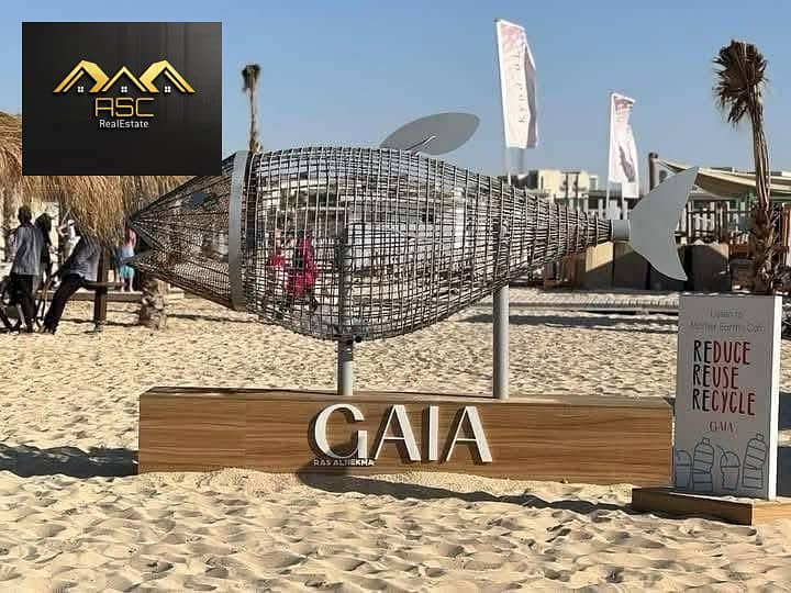 11 f366db5e-5efb-4ae6-9643-741faf68e09b. jpg