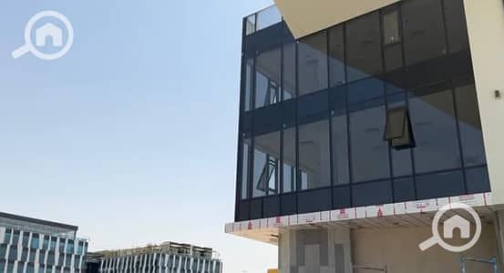 3 31569486-400x300. jpeg