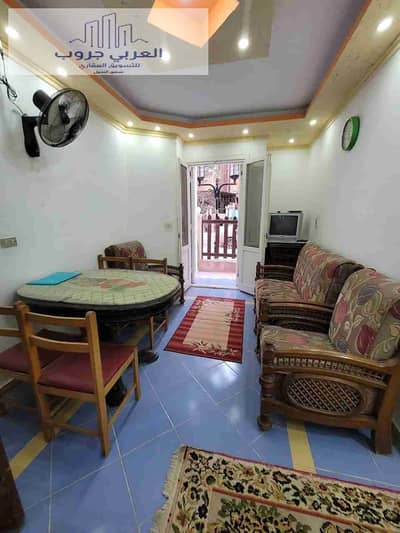 شقة 1 غرفة نوم للبيع في النخيل، الإسكندرية - 1000358354. jpg