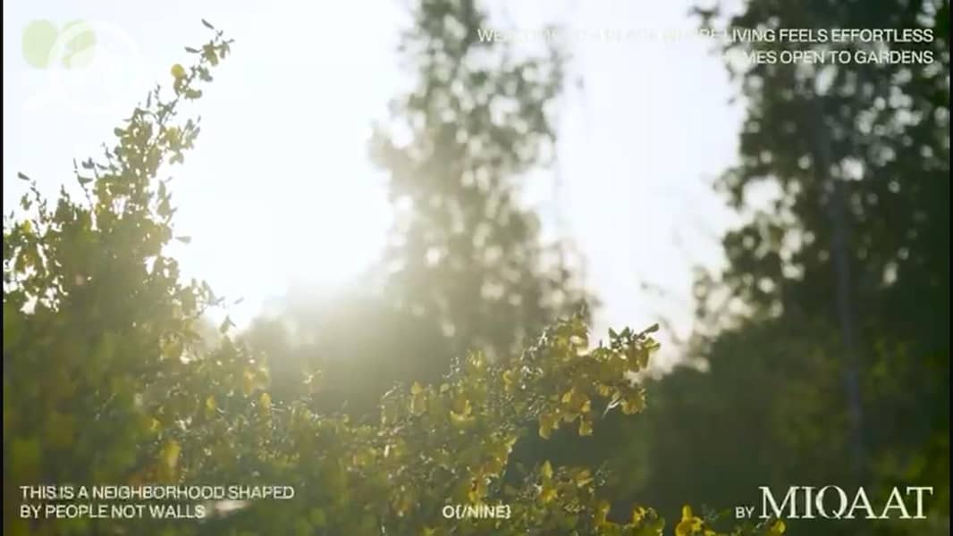 11 IMG-20251121-WA0044. jpg