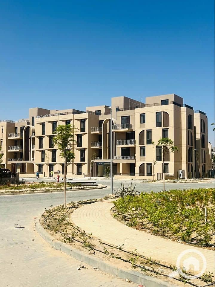 5 549807986_1990479925040276_2205555057413474426_n. jpg