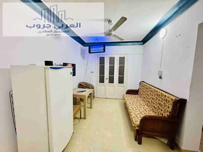 فلیٹ 2 غرفة نوم للبيع في النخيل، الإسكندرية - 1000357330. jpg