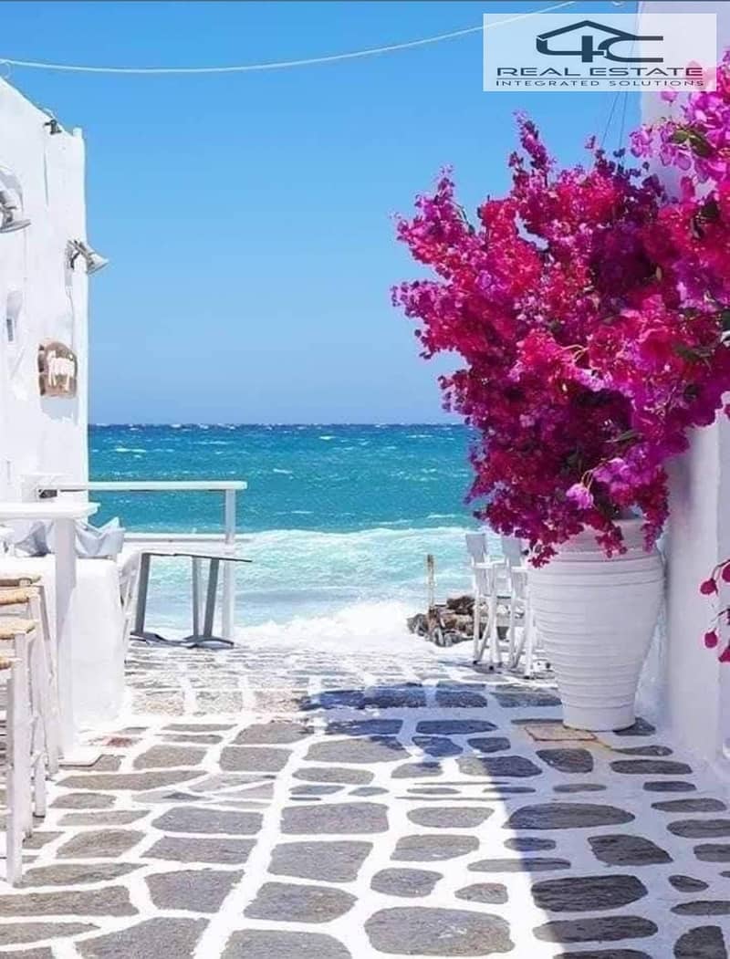 5 WhatsApp Image 2026-01-28 at 1.47. 36 PM. jpeg