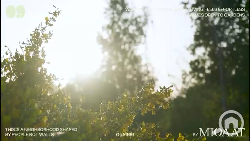 11 IMG-20251121-WA0044. jpg