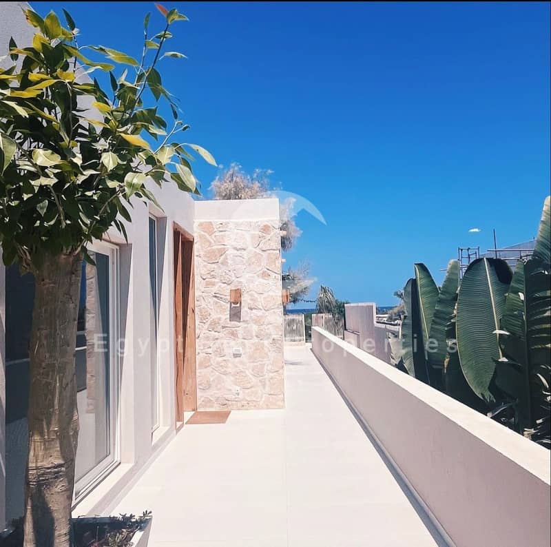 17 WhatsApp Image 2025-05-06 at 13.56. 29_0a5a0b9c. jpg