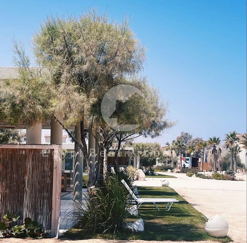 19 WhatsApp Image 2025-05-06 at 13.56. 36_17eef399. jpg