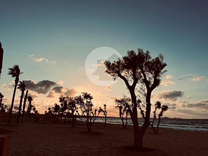 24 WhatsApp Image 2025-05-06 at 14.12. 51_a3d66422. jpg