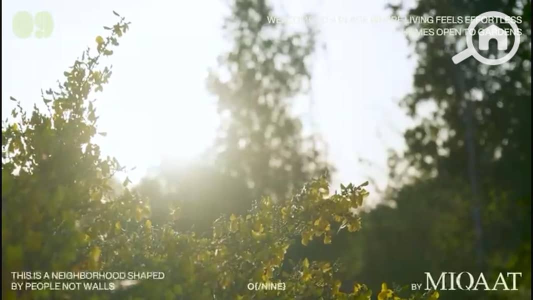 11 IMG-20251121-WA0044. jpg