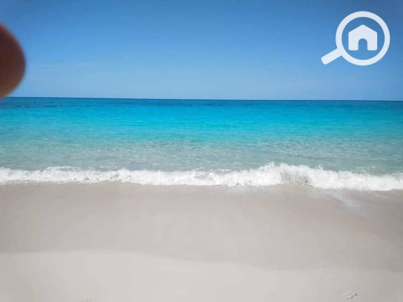 12 WhatsApp Image 2026-01-27 at 2.53. 12 PM. jpeg